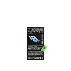 犀牛盾Clear Case防摔背蓋手機殼 - iPhone 16e - 【獨家設計款】 - 醬料瓶蘇眉魚