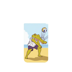 Pixel 11 SolidX (MagSafe 兼容)  Keigo Beach Volleyball