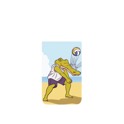 Pixel 11 Pro SolidX  Keigo Beach Volleyball