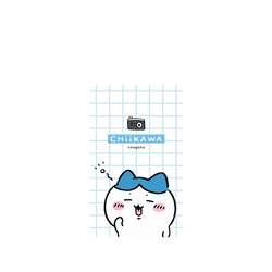 Pixel 8 SolidSuit  吉伊卡哇Chiikawa 呀！我是小八貓Hachiware
