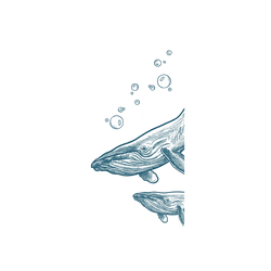iPhone 15 Plus Clear Case (MagSafe 兼容)  MYMY REVERZ TATTOO 鯨魚母子
