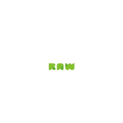 犀牛盾SolidX手機殼 - Google Pixel 11 - 【聯名設計款】 - JOCR - Raw Green