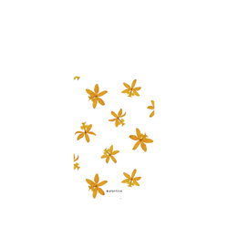 iPhone 17 Pro Max SolidX  Plantica 花瓣 – 石斛蘭〈夢之歌〉