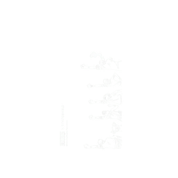 iPhone 12 / 12 Pro Mod NX (MagSafe 兼容)  One Piece 海賊團系列-阿拉巴斯坦篇一行人 線稿