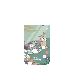 iPhone 17 Pro Max SolidX  Disney - Classics 迪士尼經典電影 小鹿斑比 - 桑普與邦妮