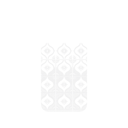 犀牛盾Clear Case（相機按鈕）防摔背蓋手機殼 - iPhone 16 Plus - 【聯名設計款】 - 老屋顏 Old House Face - 透明-雛菊