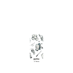 犀牛盾 AquaStand 磁吸水壺 - 不鏽鋼 700ml (無吸管) -【聯名設計款】- 哈利波特 Harry Potter - 衛氏巫師法寶店