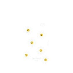 Pixel 11 SolidX  Knock Knock A2Z 哈囉小小雛菊