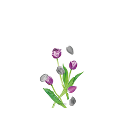 iPhone 17 Pro SolidX  Plantica 回響 – 褐紫