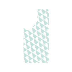 犀牛盾Clear (MagSafe 兼容)防摔背蓋手機殼 - Samsung Galaxy S25 Ultra - 【聯名設計款】 - JOCR - Forest Mint Green & White