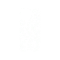 犀牛盾Mod NX手機殼 - iPhone 16 Pro Max - 【聯名設計款】 - 迪士尼-皮克斯 PIXAR - 皮克斯系列 - 角色線條風格
