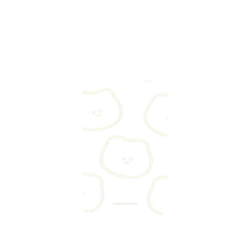 Pixel 11 SolidX (MagSafe 兼容)  布朗尼 annnbrownie 線條熊熊
