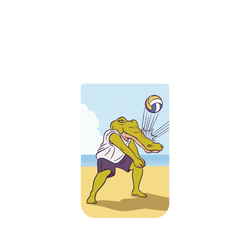 iPhone 17 Pro Max SolidX  Keigo Beach Volleyball