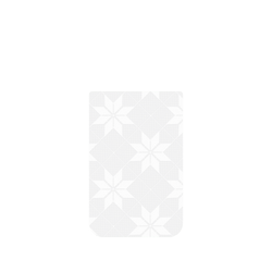 iPhone 17 Pro Max Clear Case（相機按鈕） 老屋顏 蚊帳花紋