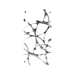 犀牛盾Mod NX手機殼 - iPhone 13 - 【聯名設計款】 - WISDOM - SILK