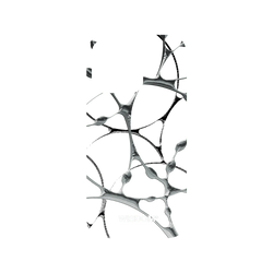 犀牛盾NX (MagSafe 兼容)背板 - iPhone 13 Pro - 【聯名設計款】 - WISDOM - SILK