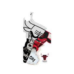 iPhone XR Mod NX Backplate  NBA 拼接系列-芝加哥公牛 Chicago Bulls - Style Mix