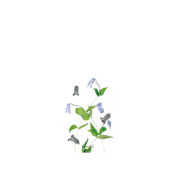Galaxy S26 FE SolidX  Plantica 回響 – 淡縹