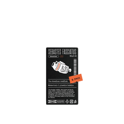 犀牛盾Clear Case防摔背蓋手機殼 - iPhone 12/12 Pro - 【獨家設計款】 - 塑膠瓶條紋平鮋