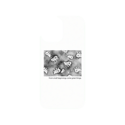 犀牛盾Clear Case（相機按鈕）防摔背蓋手機殼 - iPhone 16 - 【聯名設計款】 - 怪奇事物所 Incrediville - 所長細胞群_白