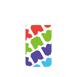 犀牛盾SolidX手機殼 - Google Pixel 11 - 【聯名設計款】 - JOCR - Raw Rainbow Pattern Big