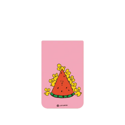 Pixel 11 SolidX  Jin Young Choi 爬西瓜山