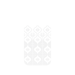 犀牛盾Clear Case（相機按鈕）防摔背蓋手機殼 - iPhone 16 - 【聯名設計款】 - 老屋顏 Old House Face - 透明-雛菊
