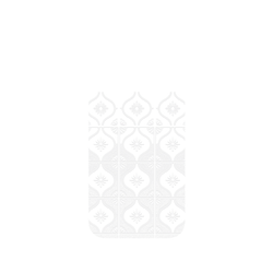 犀牛盾Clear Case（相機按鈕）防摔背蓋手機殼 - iPhone 16 Pro Max - 【聯名設計款】 - 老屋顏 Old House Face - 透明-雛菊