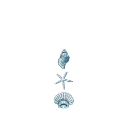 紅米 Note 9 (4G Global) SolidSuit  MYMY REVERZ TATTOO 貝殼