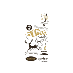 iPhone 16 Pro Clear (MagSafe 兼容 & 相機按鈕)  Harry Potter 魔法咒語大集合