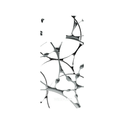 犀牛盾NX系列背板 - iPhone 15 Pro - 【聯名設計款】 - WISDOM - SILK