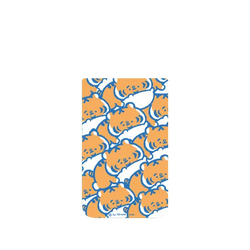 Pixel 11 Pro XL SolidX  小勞撫 想睡