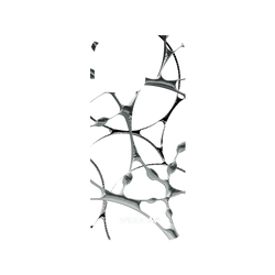 犀牛盾Mod NX (MagSafe 兼容)手機殼 - iPhone 16 Pro - WISDOM - SILK