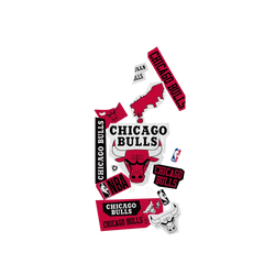 Galaxy S26+ Clear Case (MagSafe 兼容)  NBA 拼貼系列-芝加哥公牛 Chicago Bulls - Collage