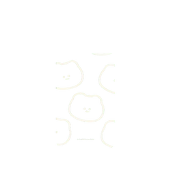 Pixel 11 Pro XL SolidX  布朗尼 annnbrownie 線條熊熊