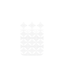 犀牛盾Clear Case（相機按鈕）防摔背蓋手機殼 - iPhone 16 - 【聯名設計款】 - 老屋顏 Old House Face - 透明-麻葉