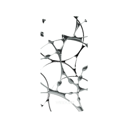 犀牛盾Mod NX手機殼 - iPhone 12 mini - 【聯名設計款】 - WISDOM - SILK