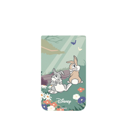 iPhone Air AirX  Disney - Classics 迪士尼經典電影 小鹿斑比 - 桑普與邦妮