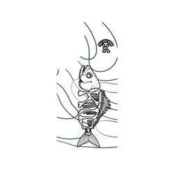 Galaxy S26 FE SolidX (MagSafe 兼容)  KID 魚骨KID