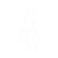 iPhone X SolidSuit  好日曆 GOODAY 大好日子(白字款)