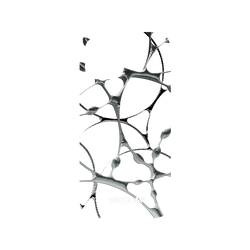 犀牛盾NX系列背板 - iPhone 12 Pro Max - 【聯名設計款】 - WISDOM - SILK