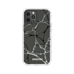 犀牛盾Clear Case防摔背蓋手機殼 - iPhone 12 Pro Max - 【聯名設計款】 - WISDOM - SILK