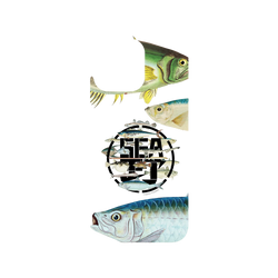 iPhone 16 Pro Max Clear Case（相機按鈕）  KID 魚群海釣