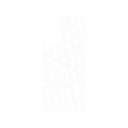 犀牛盾SolidSuit手機殼 - Samsung Galaxy A14 (5G) - 【聯名設計款】 - JOCR - Forest Transparent & White