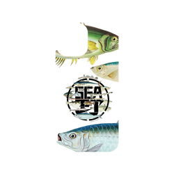 iPhone 12 Pro Max Clear Case (MagSafe 兼容)  KID 魚群海釣