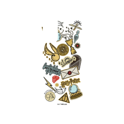 Galaxy S20 (4G/5G) SolidSuit  Harry Potter Sticker - 霍格華茲校園生活