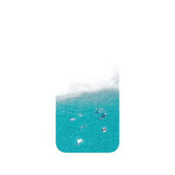 犀牛盾Clear (MagSafe 兼容)防摔背蓋手機殼 - iPhone 13 Pro - 【獨家設計款】 - 夏日漫游