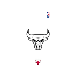 iPhone XS Mod NX Backplate  NBA B&W-芝加哥公牛 Chicago Bulls B&W - Light