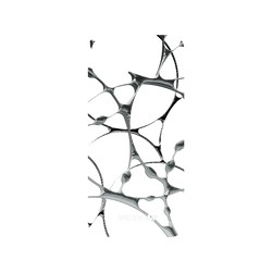 犀牛盾NX (MagSafe 兼容)背板 - iPhone 15 Plus - 【聯名設計款】 - WISDOM - SILK