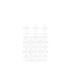犀牛盾Clear Case（相機按鈕）防摔背蓋手機殼 - iPhone 16 Pro Max - 【聯名設計款】 - 老屋顏 Old House Face - 透明-麻葉